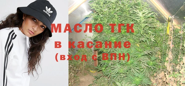 прущие грибы Абаза
