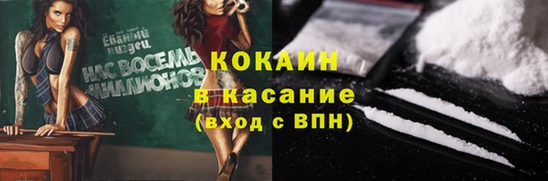гашик Алексеевка