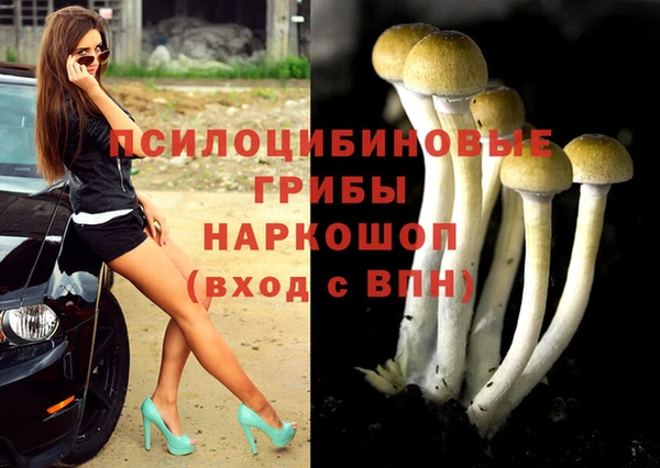 гашик Алексеевка